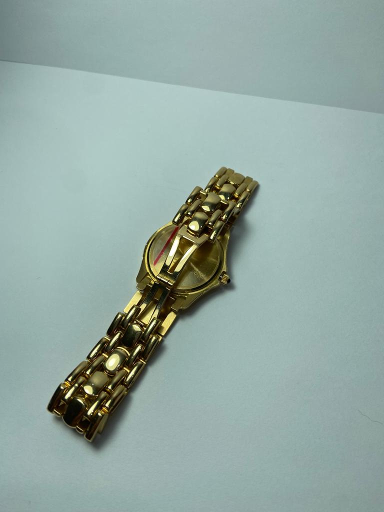 Reloj Pierre Cardin de Oro 18Kt